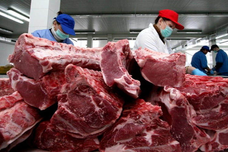Buy meat in Ukraine wholesale and for export abroad