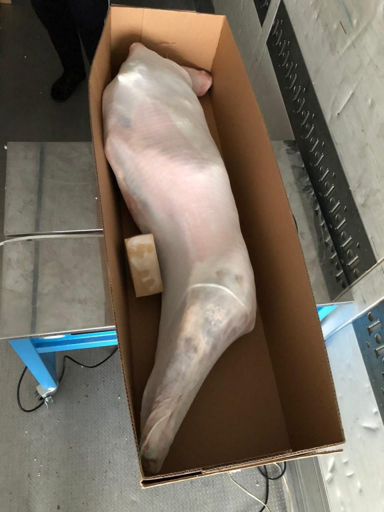 017_agrolifeukraine_com