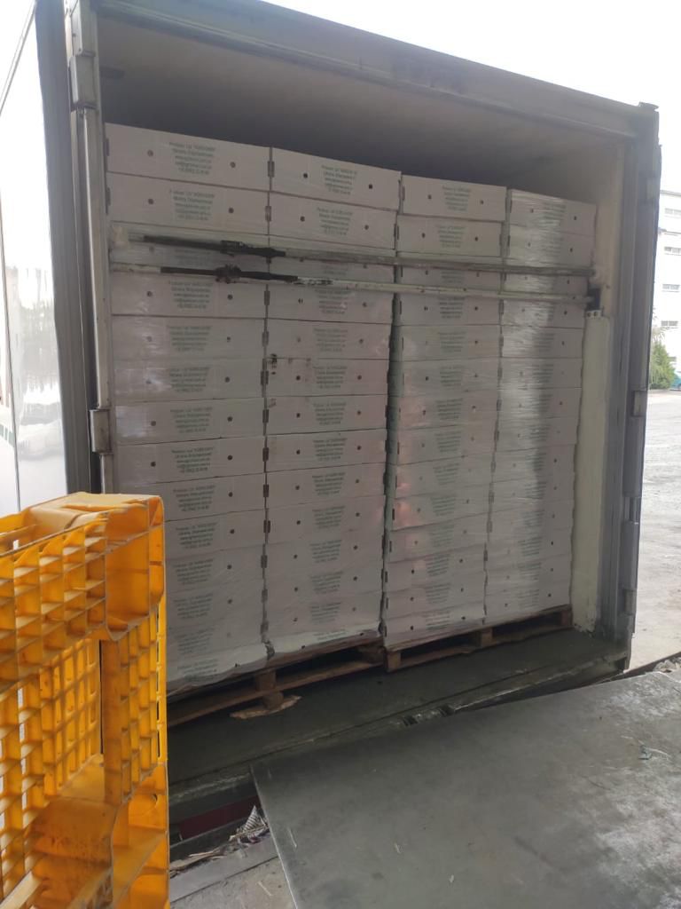 037_agrolifeukraine_com