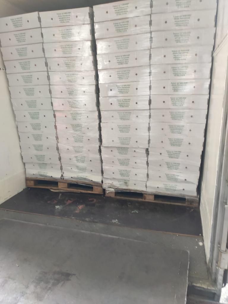 038_agrolifeukraine_com