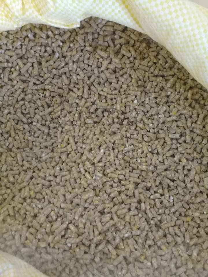 049_agrolifeukraine_com