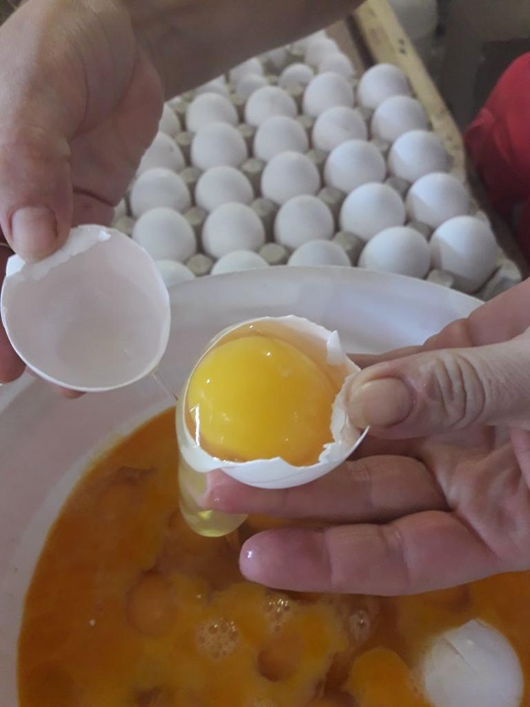 058_agrolifeukraine_com