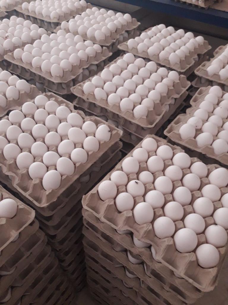 061_agrolifeukraine_com