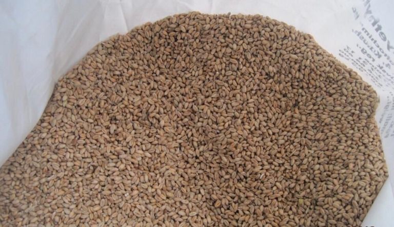 076_agrolifeukraine_com