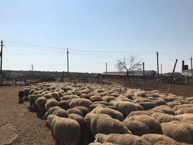 078_agrolifeukraine_com