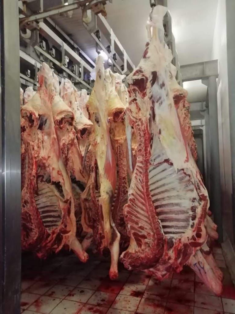 091_agrolifeukraine_com