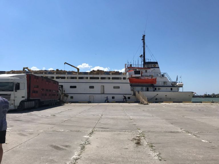 agrolifeukrainecom_01