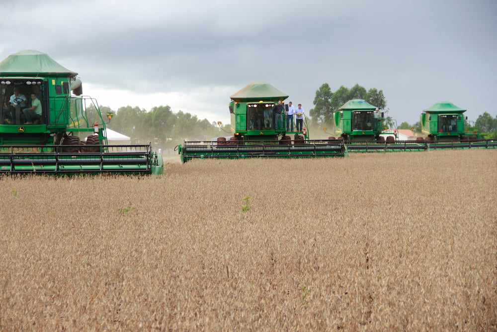 BUY SOYA IN UKRAINE WHOLESALE